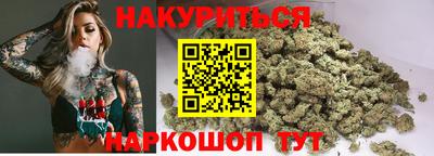 сатива Моздок